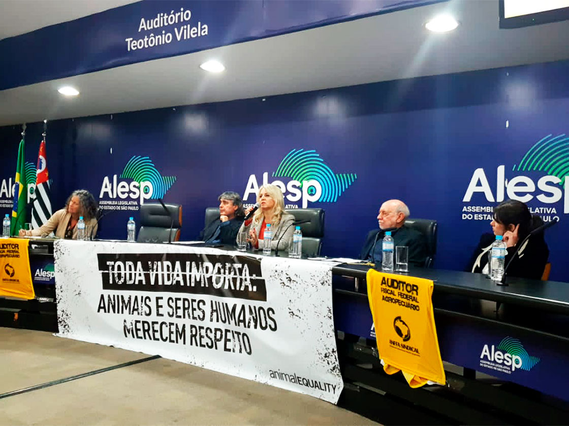Anffa e ONGs debatem os riscos do PL do Autocontrole para a saúde pública brasileira