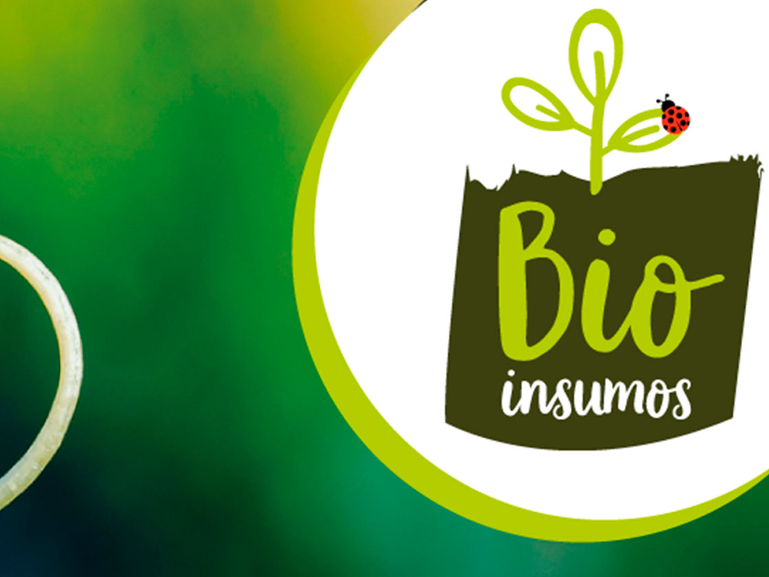 Bioinsumos trazem economia de R$ 165 milhões no Brasil com produtos para controle biológico