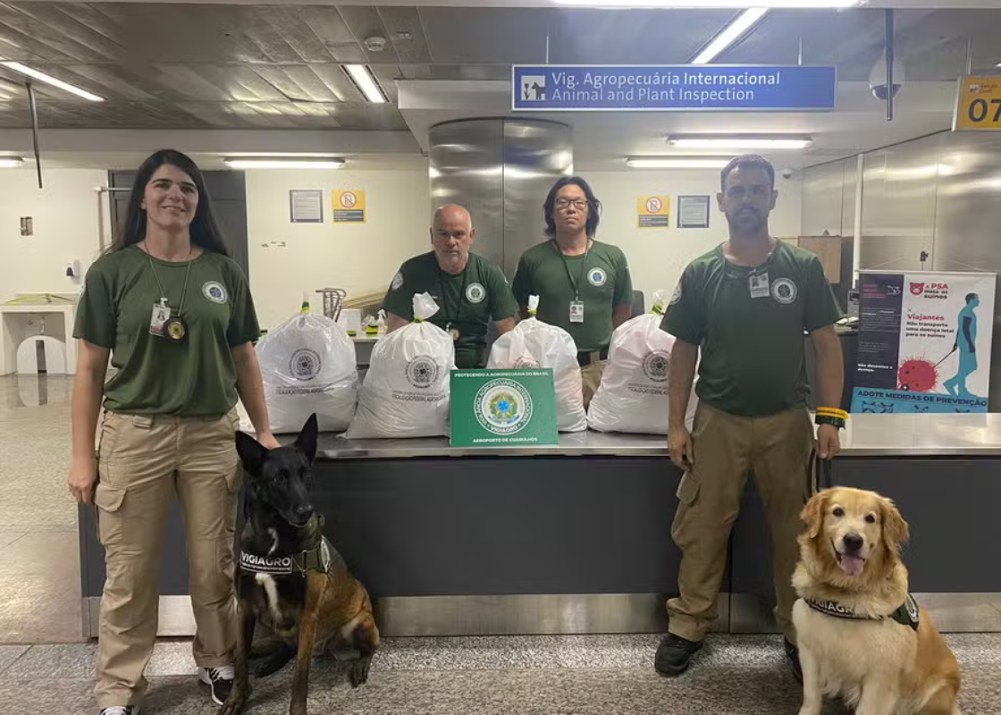 Com apoio de cães farejadores, auditores agropecuários apreendem cerca de 100 quilos de embutidos, pescados e sementes no aeroporto de Guarulhos, em SP - ANFFA Sindical