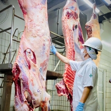 A carne segura que chega à mesa do consumidor passa por nossas mãos....Affa é sinônimo de segurança! - Affa Giorgia Haas
