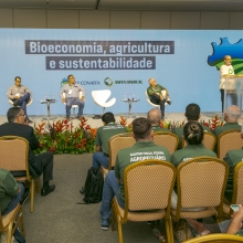 Painel IV - Bioeconomia, Agricultura e Sustentabilidade